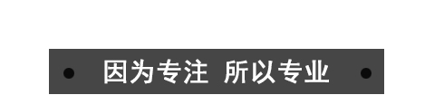 因?yàn)閷?zhuān)業(yè)